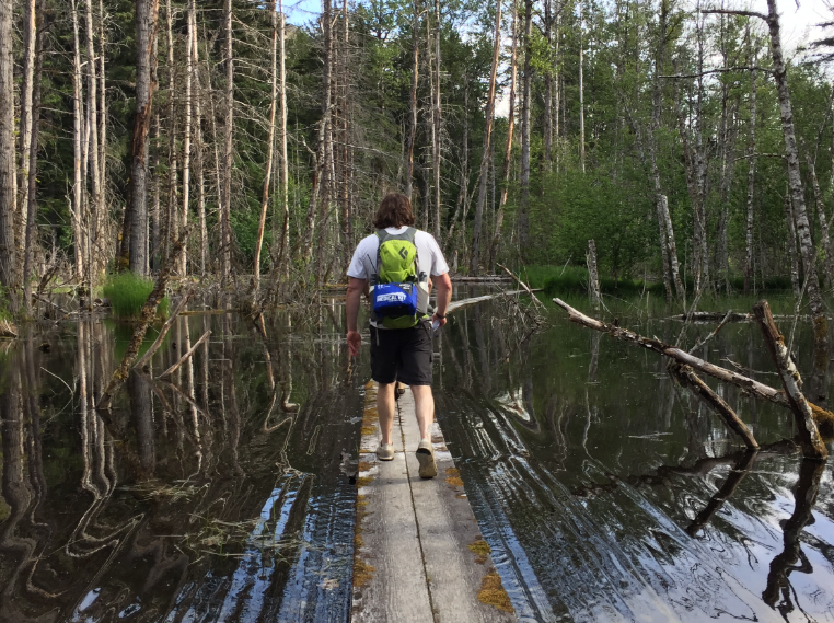 Exploring the Tranquil Beauty of Beaver Ponds Loop Trail